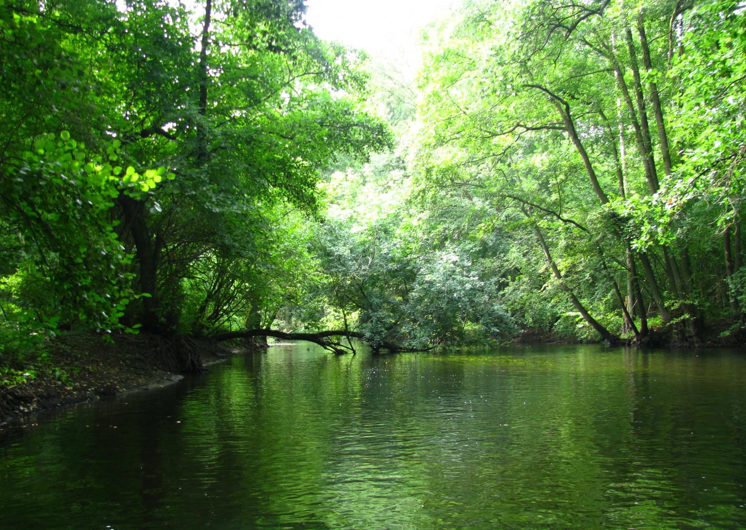 Konkurs rzeka roku 2016 – prosimy o głosy