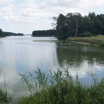 Pozwolenie wędkarskie z brzegu