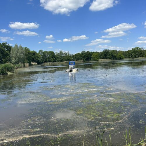 Zapytanie ofertowe_1/08/2023_Namiot