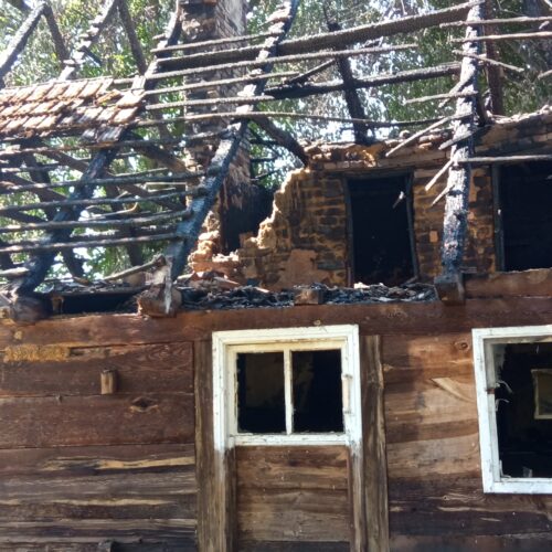 Zbiórka na rzecz wsparcia Pana Henryka Mochorta i jego podopiecznych.