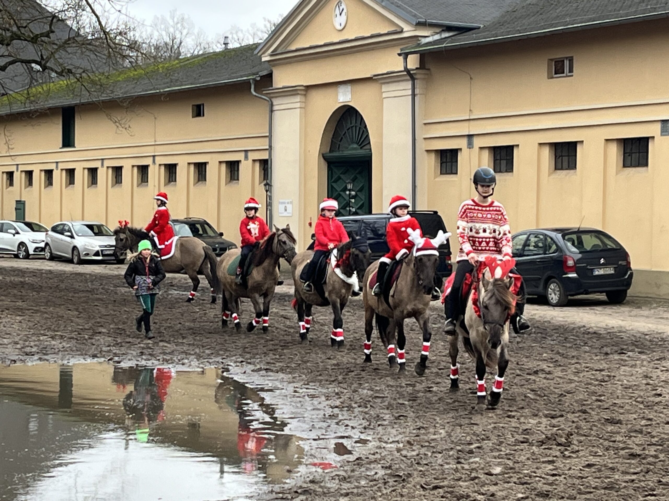 Gwiazdkowe Zawody Konne w Sierakowie